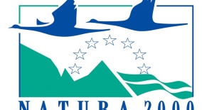 www.prosveta.bg